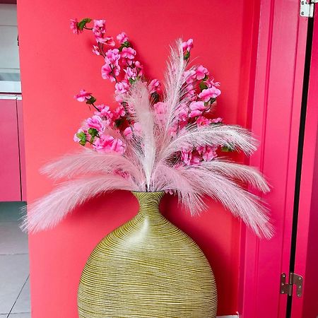 O Apartamento Rosa Joao Pessoa Luaran gambar